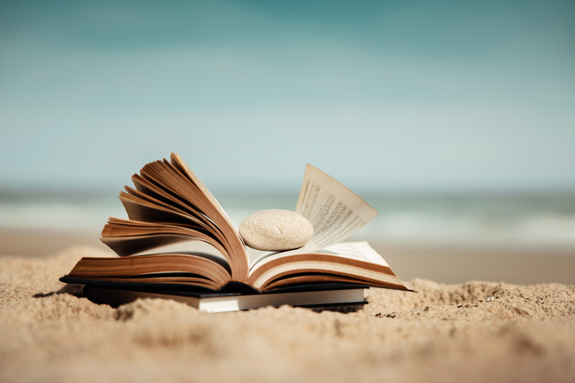 Summer reading: Igniting curiosity about Earth and imagining our future
